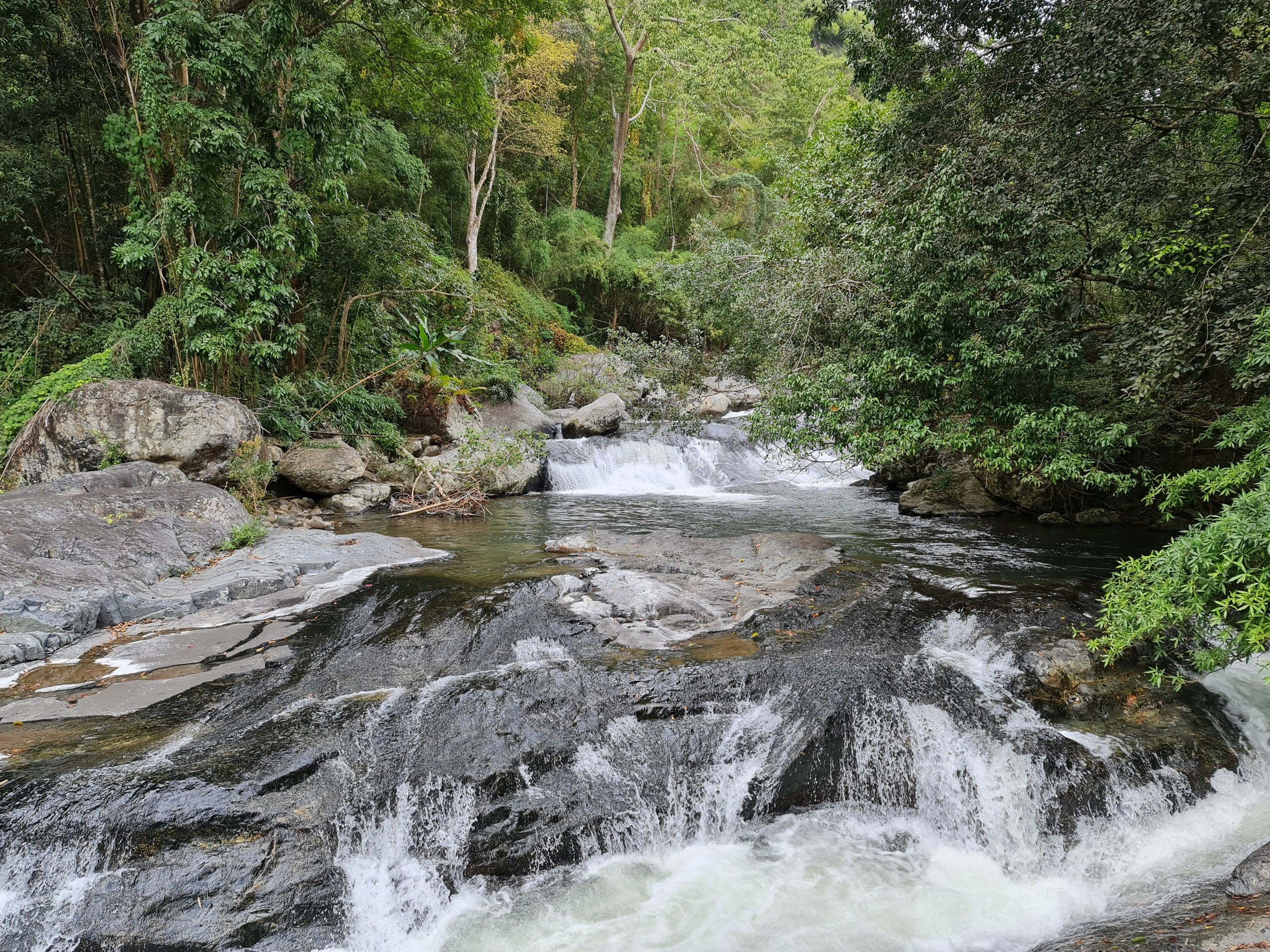 Tour Rừng Quốc Gia Phước Bình